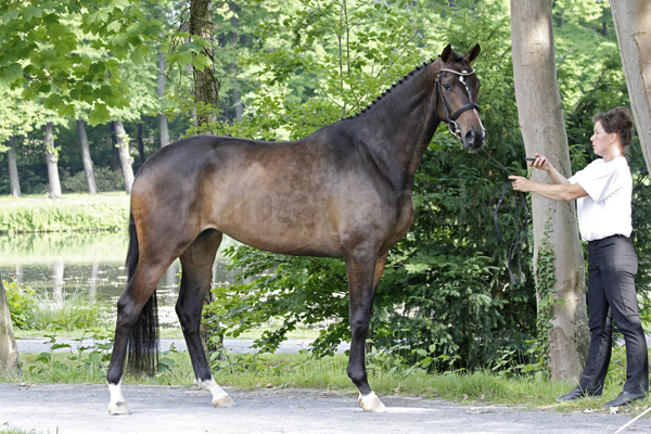 Evora © Lune Jancke